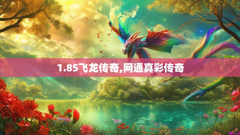 1.85飞龙传奇,网通真彩传奇