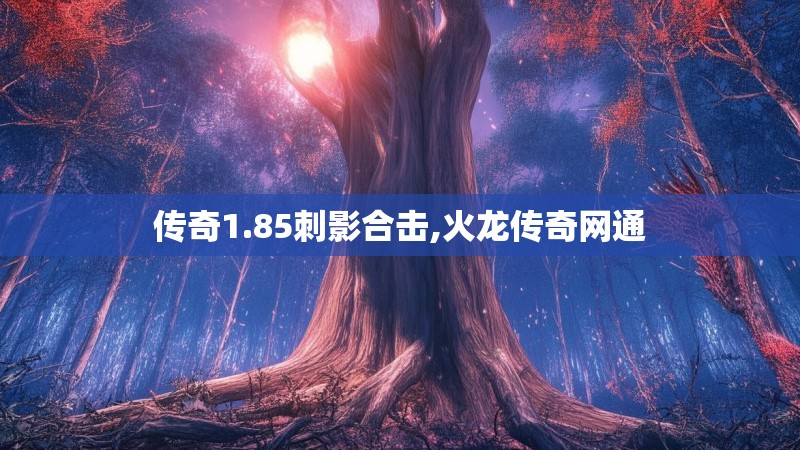 传奇1.85刺影合击,火龙传奇网通