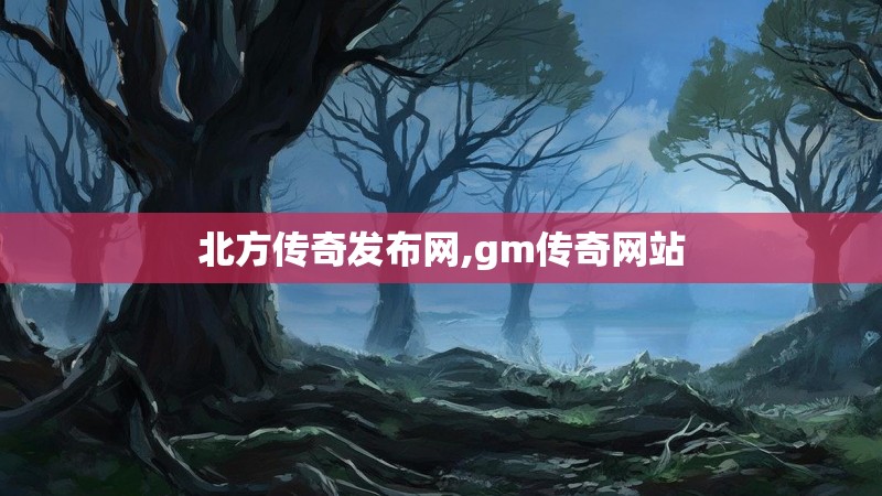 北方传奇发布网,gm传奇网站