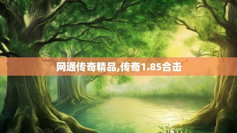 网通传奇精品,传奇1.85合击