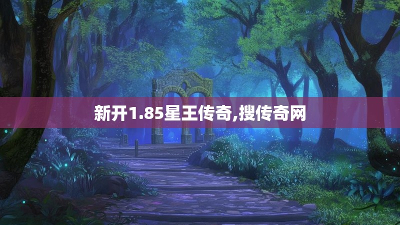 新开1.85星王传奇,搜传奇网