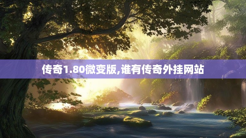 传奇1.80微变版,谁有传奇外挂网站