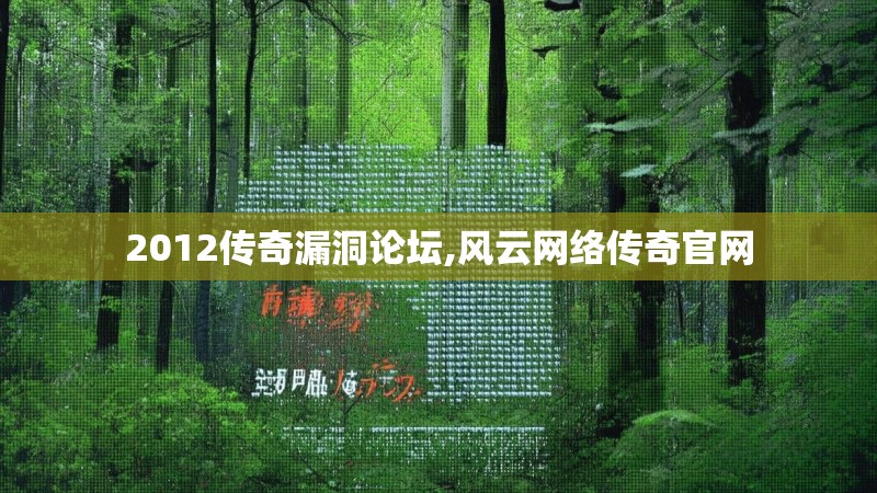 2012传奇漏洞论坛,风云网络传奇官网