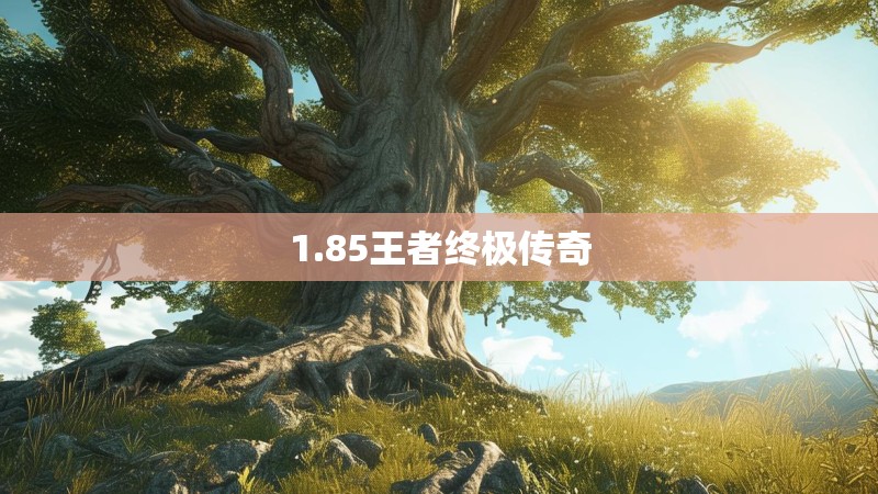 1.85王者终极传奇