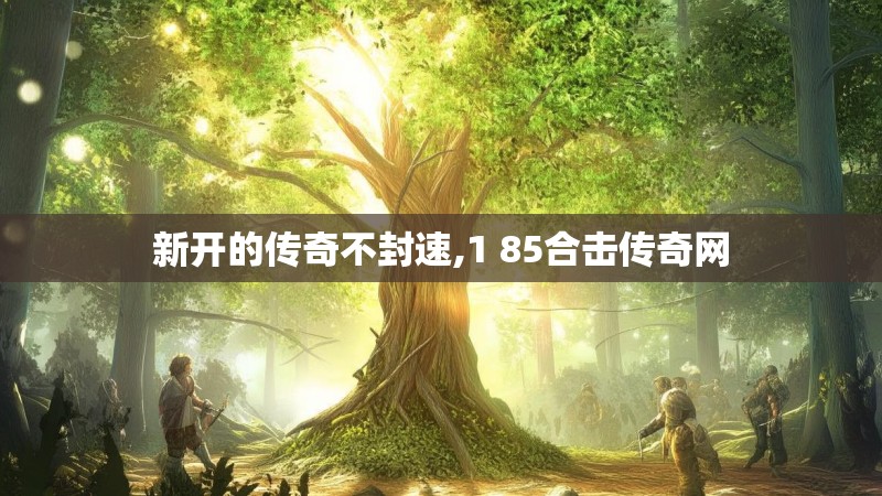 新开的传奇不封速,1 85合击传奇网