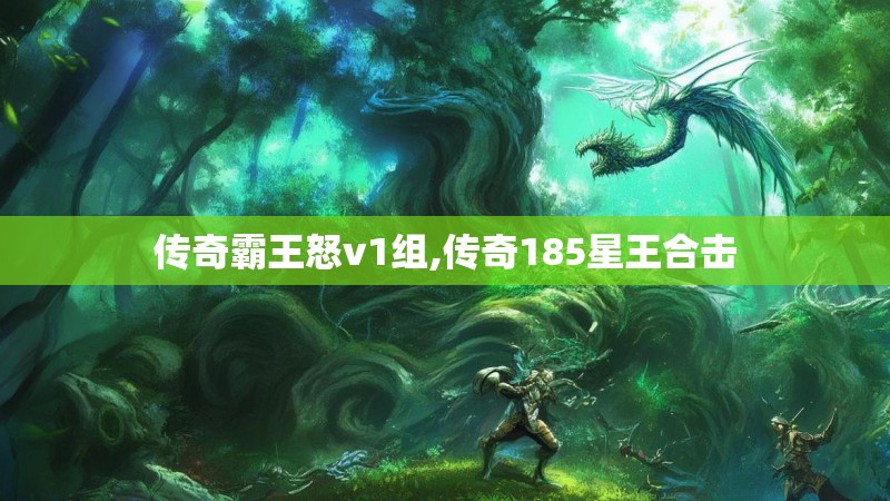传奇霸王怒v1组,传奇185星王合击