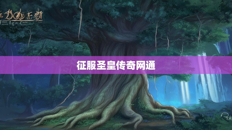 征服圣皇传奇网通