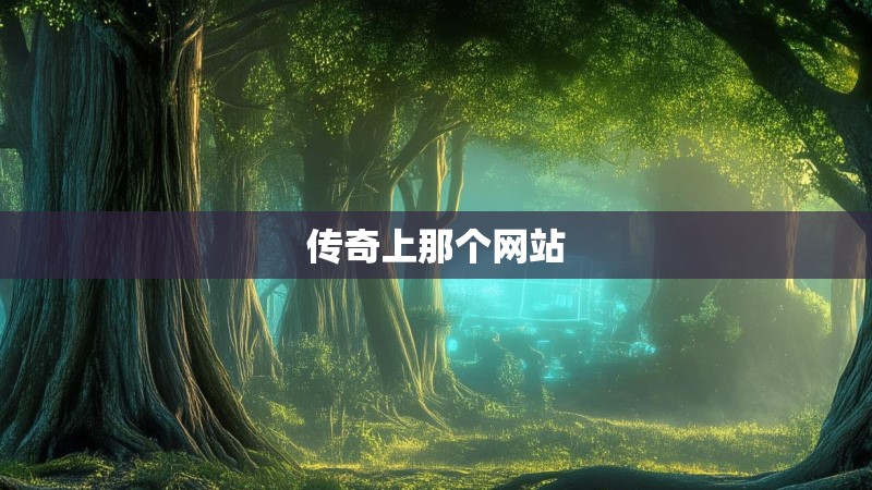 传奇上那个网站