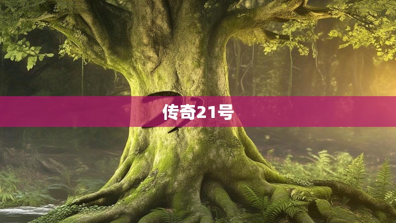 传奇21号