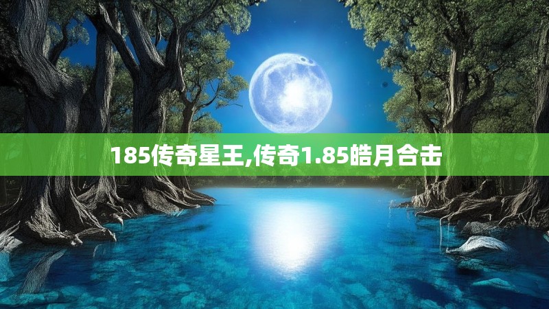 185传奇星王,传奇1.85皓月合击