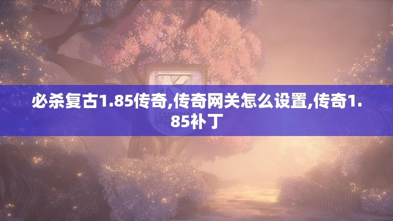 必杀复古1.85传奇,传奇网关怎么设置,传奇1.85补丁