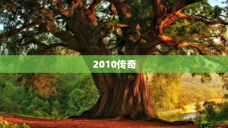 2010传奇
