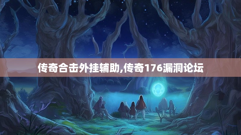 传奇合击外挂辅助,传奇176漏洞论坛