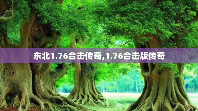 东北1.76合击传奇,1.76合击版传奇