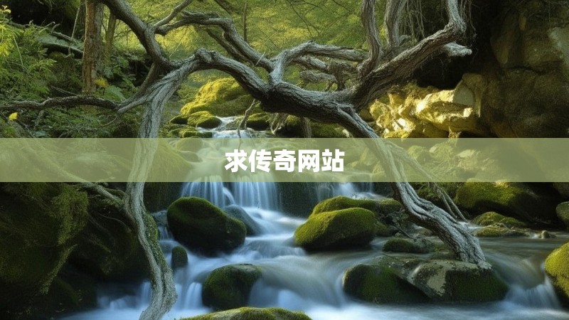 求传奇网站