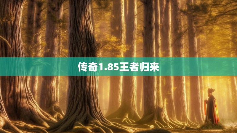 传奇1.85王者归来