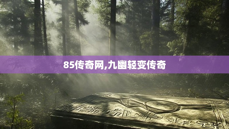 85传奇网,九幽轻变传奇
