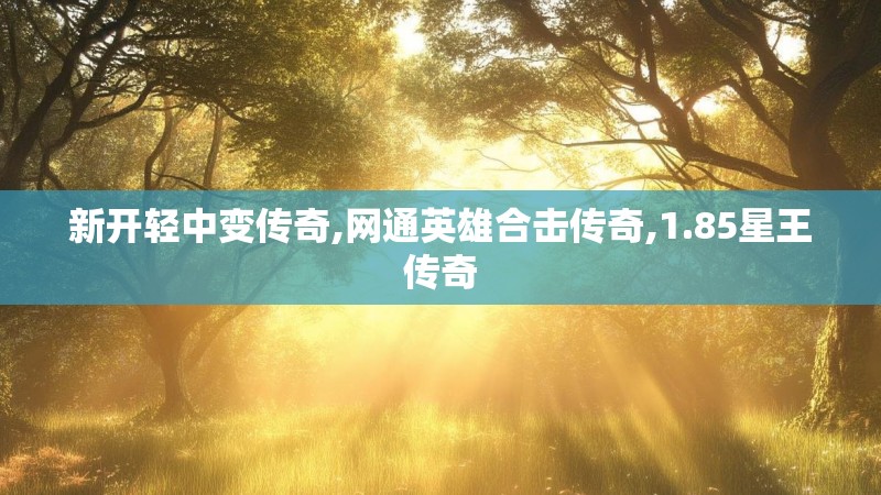 新开轻中变传奇,网通英雄合击传奇,1.85星王传奇