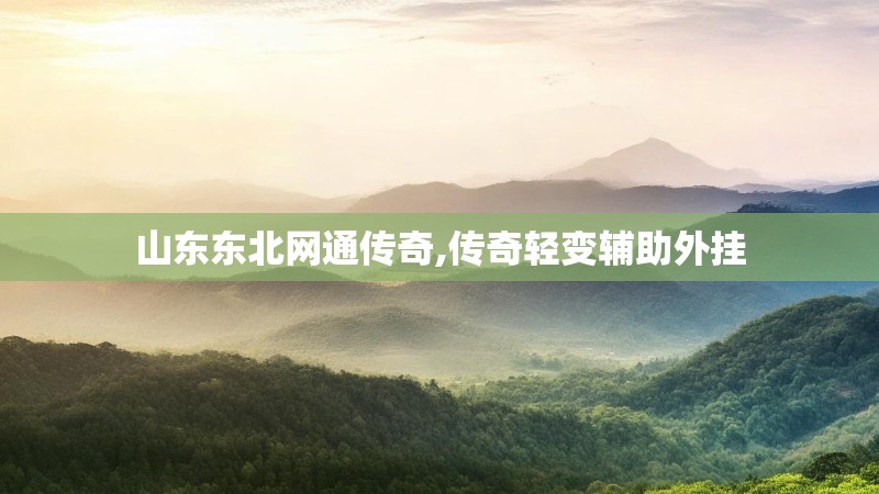 山东东北网通传奇,传奇轻变辅助外挂