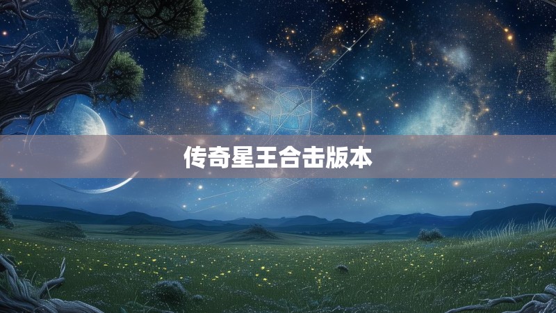 传奇星王合击版本