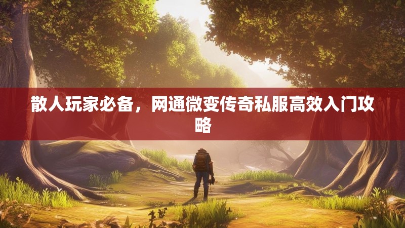 散人玩家必备，网通微变传奇私服高效入门攻略