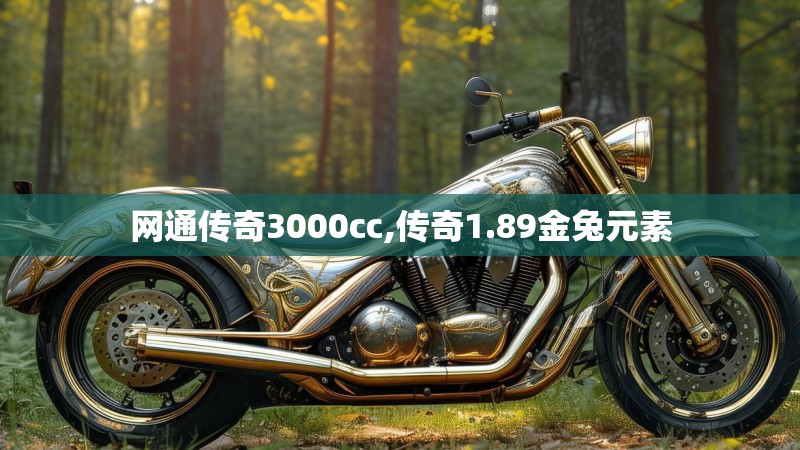 网通传奇3000cc,传奇1.89金兔元素