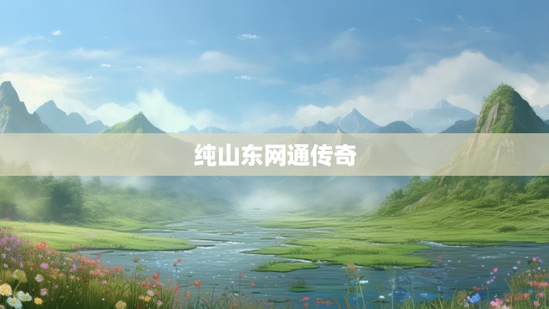 纯山东网通传奇