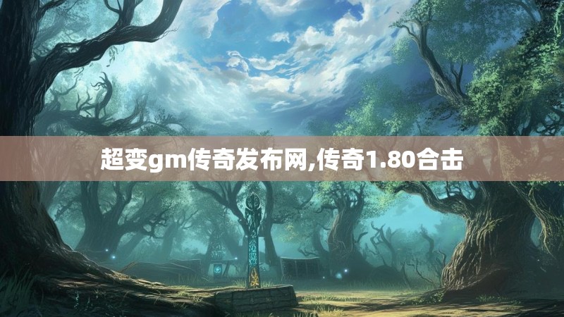 超变gm传奇发布网,传奇1.80合击