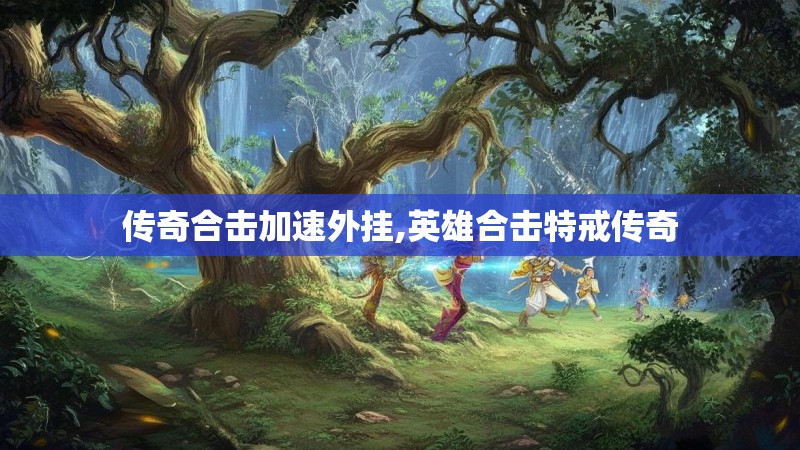 传奇合击加速外挂,英雄合击特戒传奇