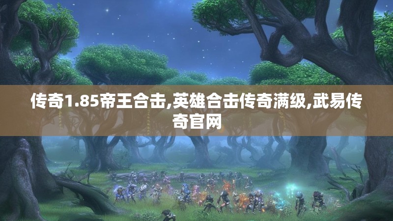 传奇1.85帝王合击,英雄合击传奇满级,武易传奇官网