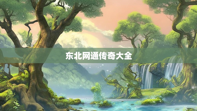 东北网通传奇大全