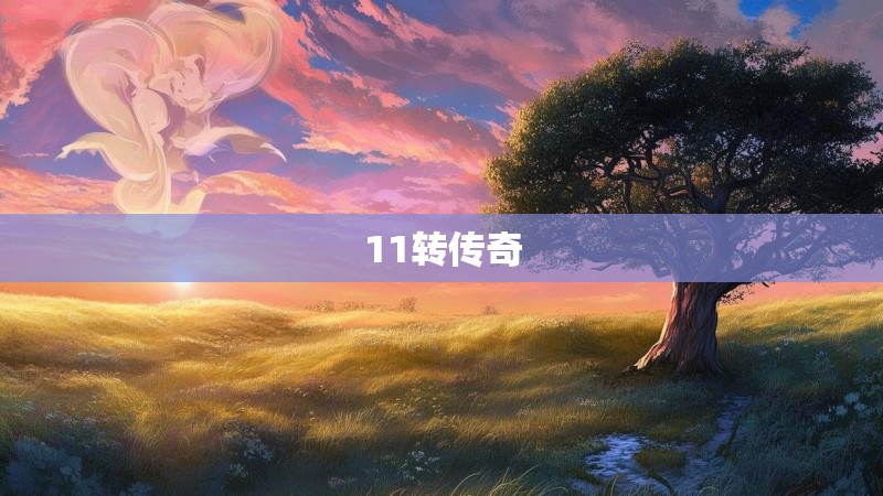 11转传奇
