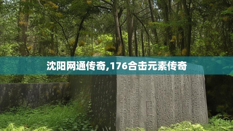 沈阳网通传奇,176合击元素传奇