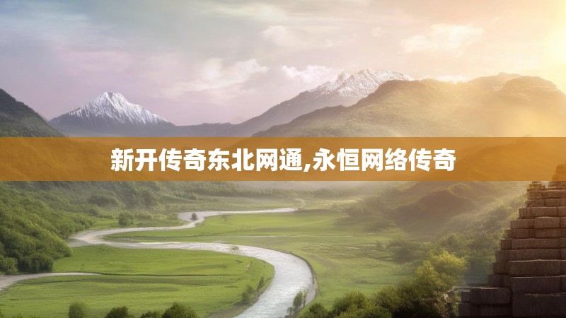新开传奇东北网通,永恒网络传奇