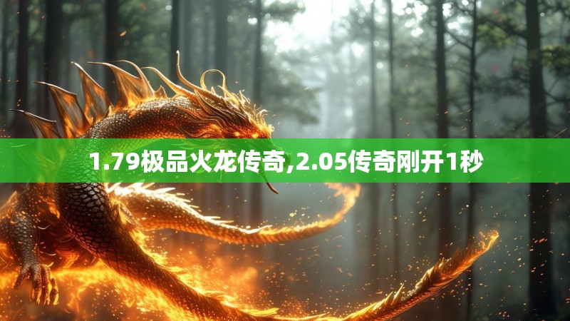 1.79极品火龙传奇,2.05传奇刚开1秒