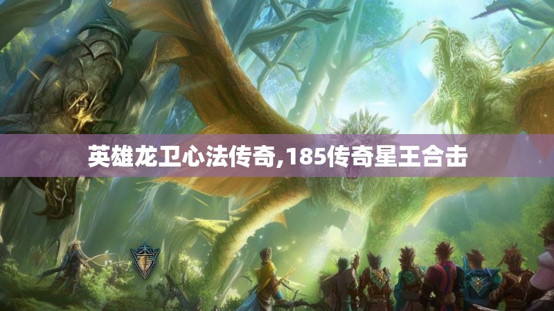 英雄龙卫心法传奇,185传奇星王合击