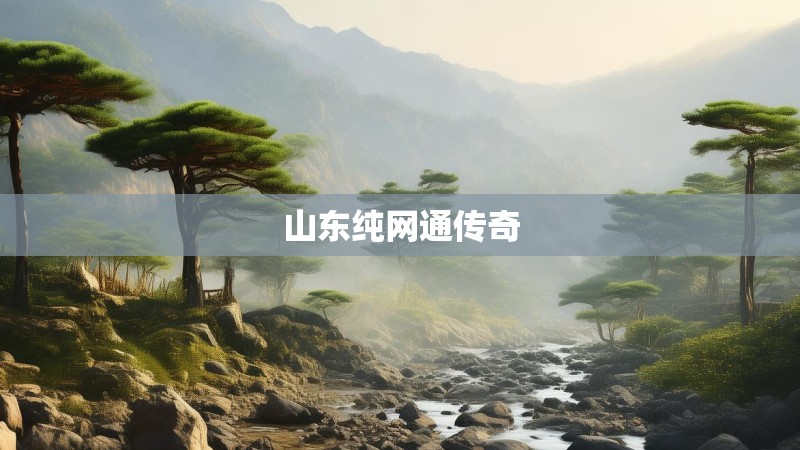山东纯网通传奇