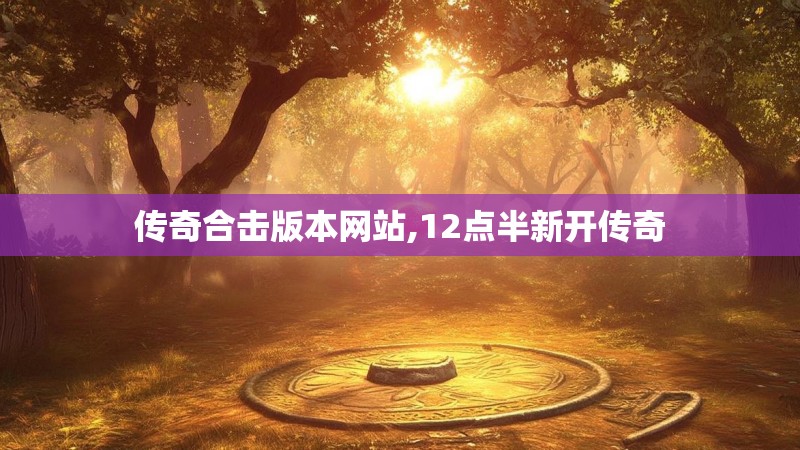 传奇合击版本网站,12点半新开传奇
