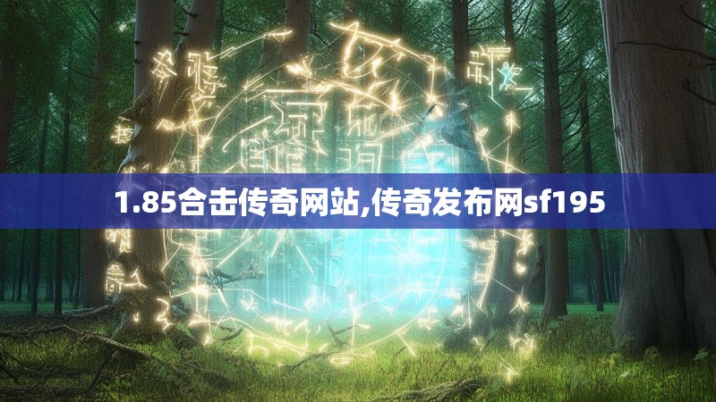 1.85合击传奇网站,传奇发布网sf195