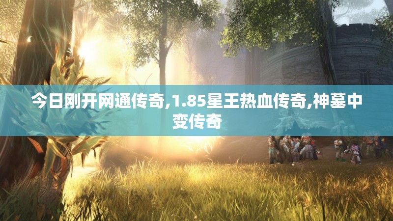 今日刚开网通传奇,1.85星王热血传奇,神墓中变传奇