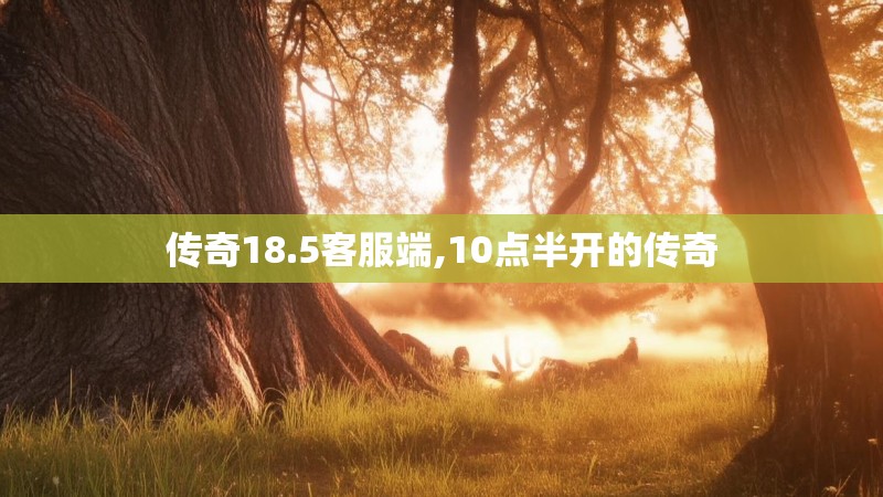 传奇18.5客服端,10点半开的传奇