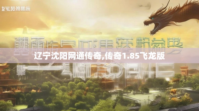 辽宁沈阳网通传奇,传奇1.85飞龙版