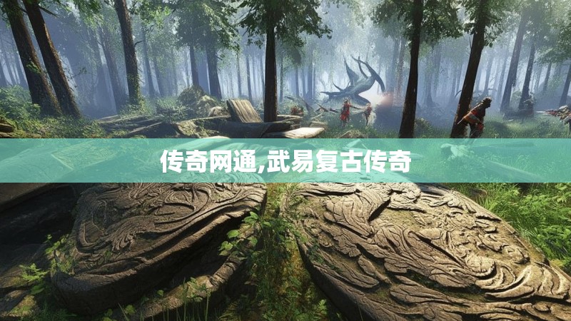 传奇网通,武易复古传奇