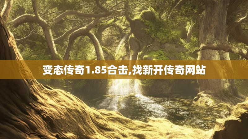 变态传奇1.85合击,找新开传奇网站