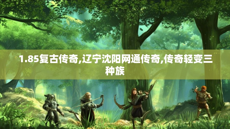 1.85复古传奇,辽宁沈阳网通传奇,传奇轻变三种族