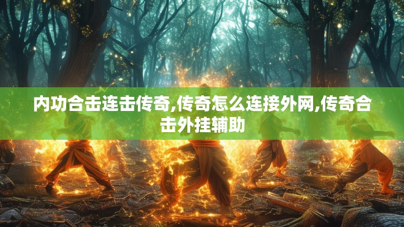 内功合击连击传奇,传奇怎么连接外网,传奇合击外挂辅助