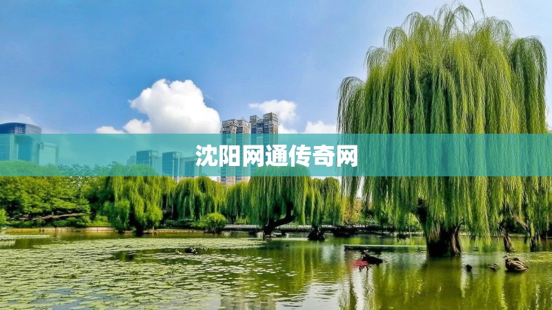 沈阳网通传奇网