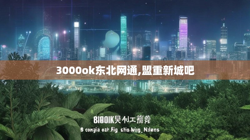 3000ok东北网通,盟重新城吧