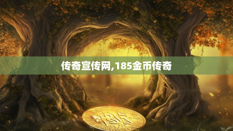 传奇宣传网,185金币传奇