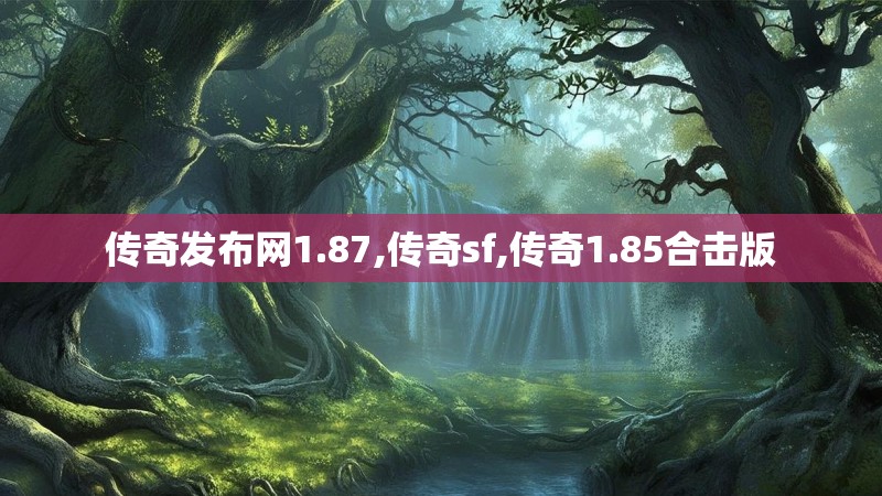 传奇发布网1.87,传奇sf,传奇1.85合击版
